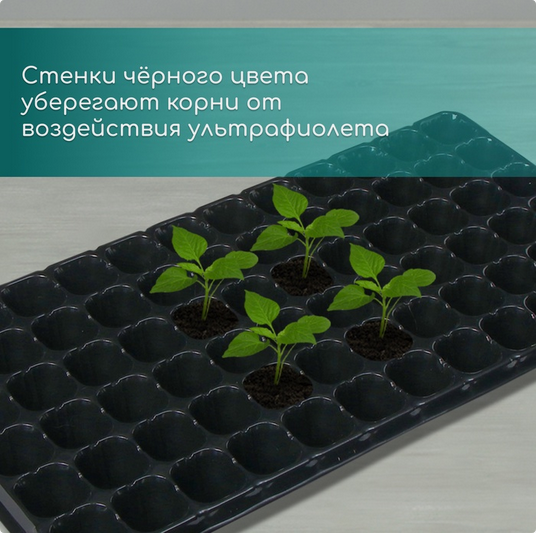 Палета для рассады ЕЛЬ 72 ячейки 50мл (540*280мм)