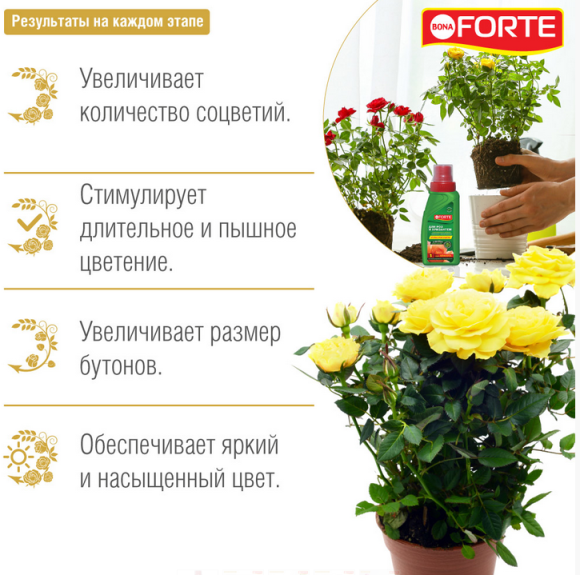 Удобрение Бона Форте Красота Роз и Хризантем 285мл (1уп/20шт) min 3шт