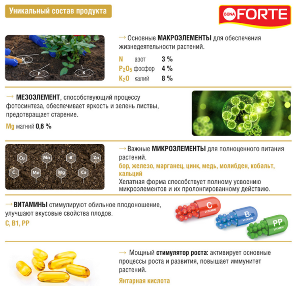 Удобрение Бона Форте Красота Роз и Хризантем 285мл (1уп/20шт) min 3шт