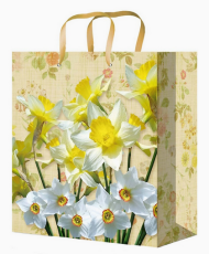 Сумочка пакет картон 180*230*80мм Нарциссы Арт-9042