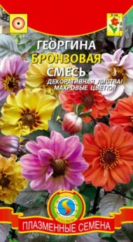 Цветы Георгина Бронзовая смесь ЦВ/П (ПЛАЗМА) 12шт однолетник 50см