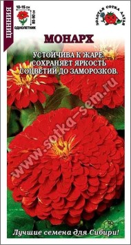 Цветы Цинния Монарх Георгиновидная ЦВ/П (СОТКА) 0,2гр красная однолетник 80-90см