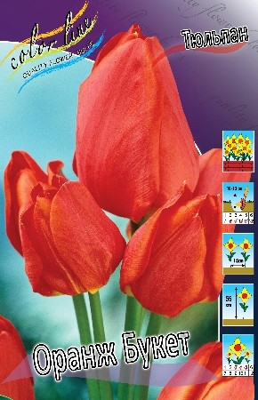 Тюльпан Оранж Букет (1/10шт) Многоцветков