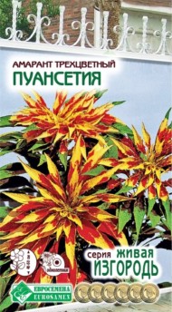 Цветы Амарант Пуансеттия Трёхцветный ЦВ/П (ЕС) 0,1гр однолетник 40-60см