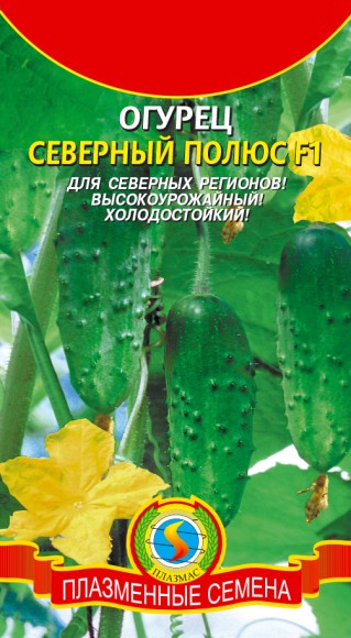 Огурец Северный Полюс F1 ЦВ/П (ПЛАЗМА) 8шт скороспелый партенокарпический