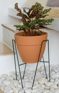 Стойка кованая Гранж на 1 цветок