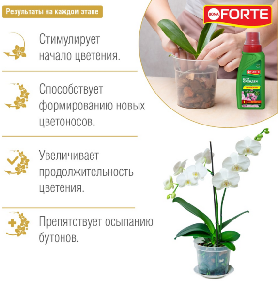 Удобрение Бона Форте Красота Орхидей 285мл (1уп/20шт) min 3шт Удобрение Бона Форте Красота Орхидей 285мл (1уп/20шт) min 3шт