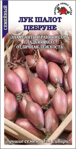Лук шалот Цебруне ЦВ/П (СОТКА) 0,3гр раннеспелый