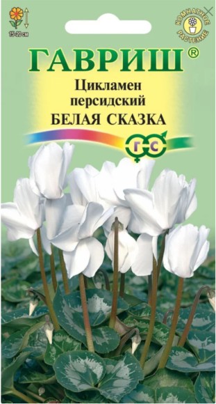 Цветы Цикламен Белая сказка персидский ЦВ/П (ГАВРИШ) 3шт комнатное