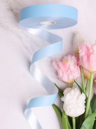 Лента Простая Матовая 2см*100ярд Голубая