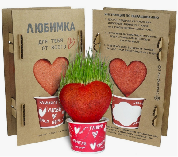 Травянчик Любимка прорастающий сувенир (1кор/11шт)