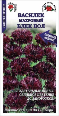 Цветы Василёк Блек Болл махровый ЦВ/П (СОТКА) 0,3гр однолетник 70-80см