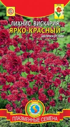Цветы Лихнис вискария Ярко-красный ЦВ/П (ПЛАЗМА) 0,1гр многолетник 50см