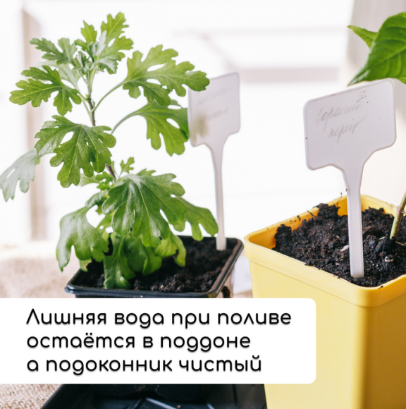 Набор для рассады Greengo стаканы 320мл*18шт поддон 51×26см Арт-1986220