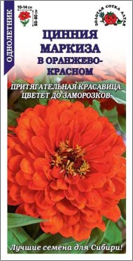 Цветы Цинния Маркиза в Оранжево-Красном ЦВ/П (СОТКА) 0,3гр однолетник 70-90см