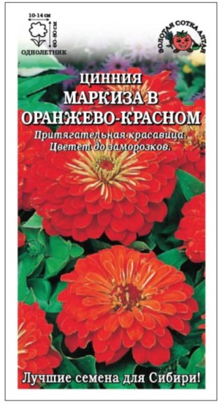 Цветы Цинния Маркиза в Оранжево-Красном ЦВ/П (СОТКА) 0,3гр однолетник 70-90см