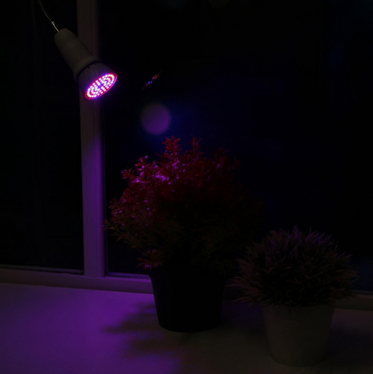 Фитолампа Luazon светодиодная 3,5Вт Е27 биколорная Арт-5350180