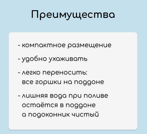 Набор для рассады Greengo стаканы 250мл*18шт + поддон 41×20см Арт-3341023 Набор для рассады Greengo стаканы 250мл*18шт + поддон 41×20см Арт-3341023