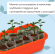 Горшок Ящик для рассады 285×155×85мм Оранжевый Greengo Арт-9035824