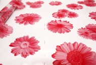 Пленка прозрачная с рисунком Герберы Вернисаж Красно-Белый 70см/200гр