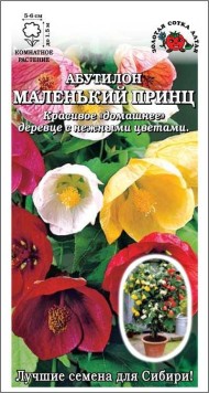 Цветы Абутилон Маленький принц ЦВ/П (СОТКА) 0,1гр комнатное до 1,5м