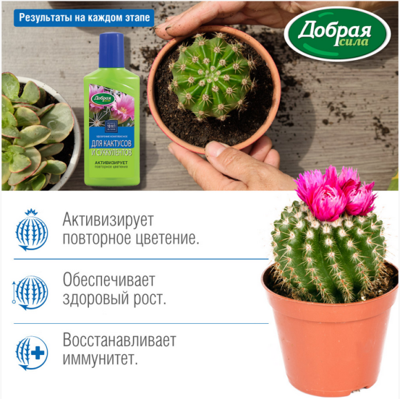 Удобрение Добрая сила Кактусов и суккулентов 250мл (1уп/24шт) min 5шт