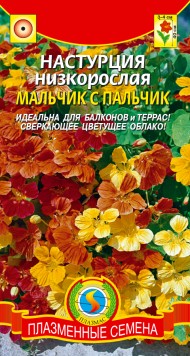 Цветы Настурция Мальчик с Пальчик ЦВ/П (ПЛАЗМА) смесь 8шт однолетник 40см