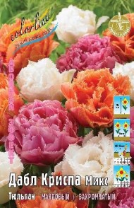 Тюльпан Дабл Криспа Микс 11/12 (1/7шт)