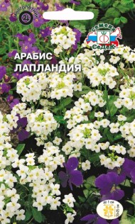 Цветы Арабис Лапландия белый ЦВ/П (СЕДЕК) 0,1гр многолетник 20-25см