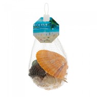 Набор Ракушек 120гр Арт-AF024