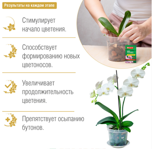 Удобрение Бона Форте Красота Орхидей 10мл (1уп/25шт) Зал УПАКОВКА Удобрение Бона Форте Красота Орхидей 10мл (1уп/25шт) Зал УПАКОВКА