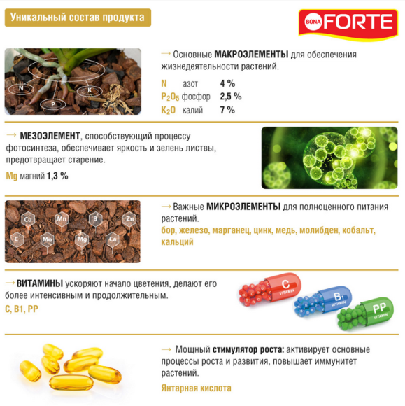 Удобрение Бона Форте Красота Орхидей 10мл (1уп/25шт) Зал УПАКОВКА Удобрение Бона Форте Красота Орхидей 10мл (1уп/25шт) Зал УПАКОВКА