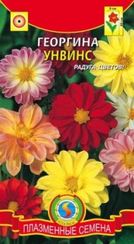 Цветы Георгина Унвинс Смесь ЦВ/П (ПЛАЗМА) 0,15гр однолетник 60см