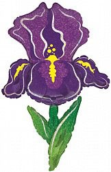 Шар фольгированный 42/107см Ирис фиолетовый голография