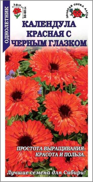 Цветы Календула Красная с черным глазком ЦВ/П (СОТКА) 0,3гр однолетник 50-60см