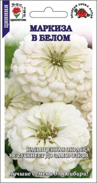 Цветы Цинния Маркиза в Белом ЦВ/П (СОТКА) 0,2гр однолетник 70-90см Цветы Цинния Маркиза в Белом ЦВ/П (СОТКА) 0,2гр однолетник 70-90см