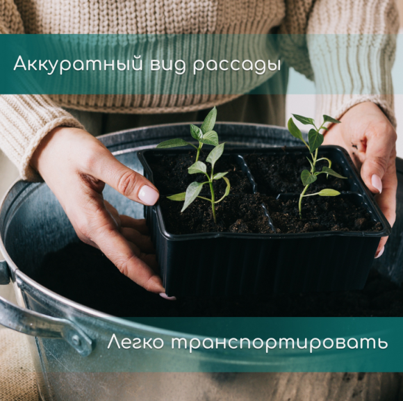 Палета для рассады 21 ячейка 120мл 540*280мм