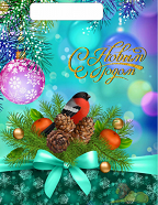 Сумочка пакет п/э 300*300мм Снегирёк Арт-607477