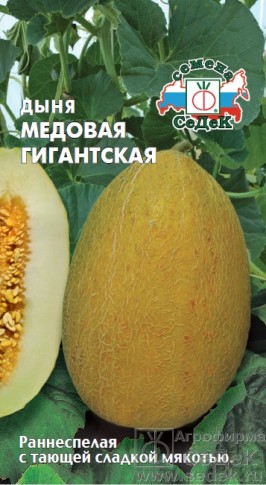 Дыня Медовая гигантская F1 ЦВ/П (СЕДЕК) 0,5гр раннеспелый