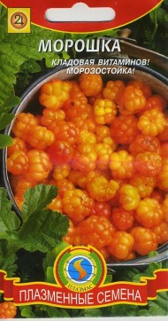 Морошка ЦВ/П (ПЛАЗМА) 8шт травянистый многолетник
