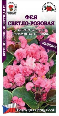 Цветы Бегония вечноцветущая F1 Фея Светло-Розовая ЦВ/П (СОТКА) 5шт комнатное 20-25см