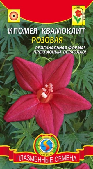 Цветы Ипомея квамоклит Розовая ЦВ/П (ПЛАЗМА) 10шт однолетник дл 2-3м