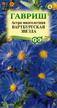 Цветы Астра Вартбургская звезда итальянская ЦВ/П (ГАВРИШ) 0,05гр многолетник до 65см