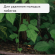 Секатор Ножницы Greengo 31см Арт-3019708 (Зал УПАКОВКА)
