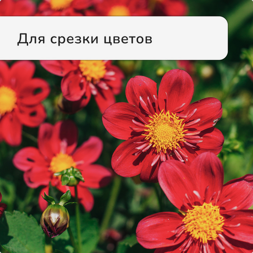 Секатор Ножницы Greengo 31см Арт-3019708 (Зал УПАКОВКА) Секатор Ножницы Greengo 31см Арт-3019708 (Зал УПАКОВКА)