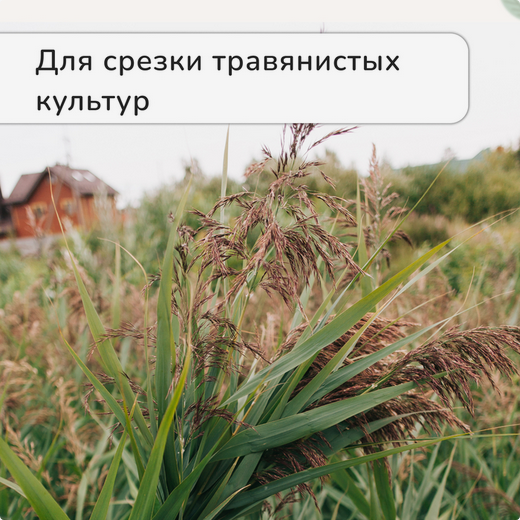 Секатор Ножницы Greengo 31см Арт-3019708 (Зал УПАКОВКА) Секатор Ножницы Greengo 31см Арт-3019708 (Зал УПАКОВКА)