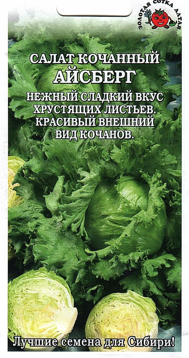 Салат Айсберг ЦВ/П (СОТКА) 0,5гр среднеспелый кочанный