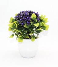 Бонсай D2125D 20см