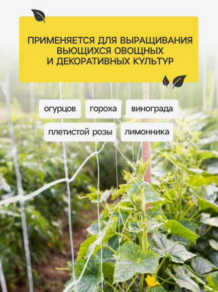 Сетка шпалерная Огуречная 2м*5метров пластиковая