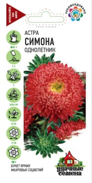 Цветы Астра Принцесса Симона ЦВ/П (ГАВРИШ) серия УДС 0,3гр однолетник до 60см